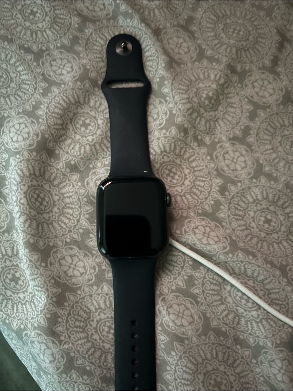 Apple Black Smartwatch with Black Silicone Band